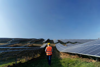 Bifacial Panels Are Gaining Popularity in C&I Projects